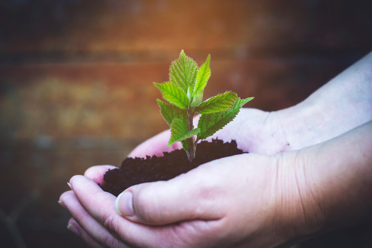 Environmental and Sustainability Education